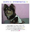 ファイル 140-1.png