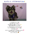 ファイル 155-1.jpg