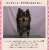 ファイル 163-1.jpg