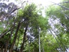 ファイル 393-3.jpg