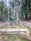 ファイル 393-4.jpg