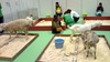 ファイル 397-3.jpg