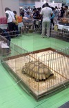 ファイル 397-4.jpg