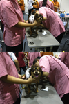 ファイル 397-5.png