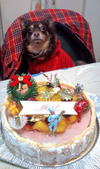 ファイル 435-5.jpg
