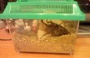 ファイル 532-3.jpg