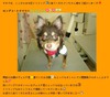 ファイル 78-2.jpg