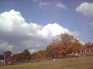 ファイル 127-4.jpg