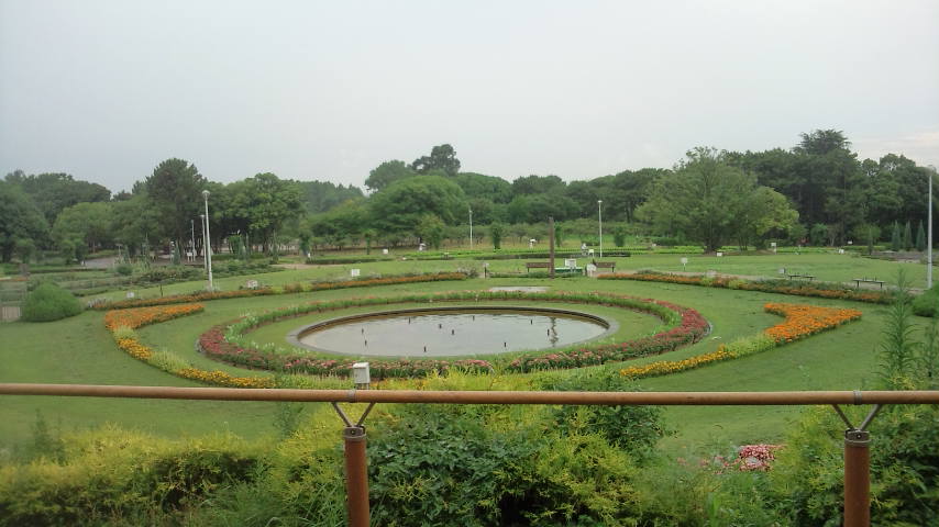 183-2.jpg