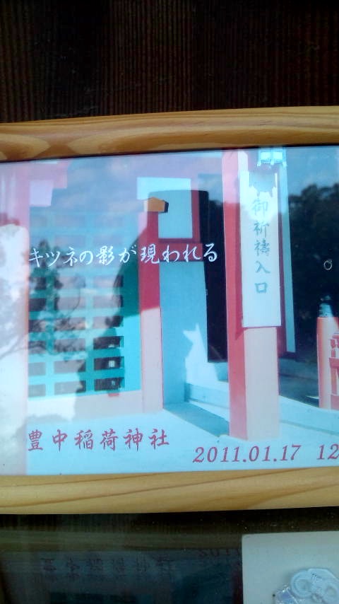 247-1.jpg