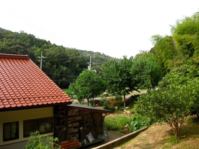 393-5.jpg