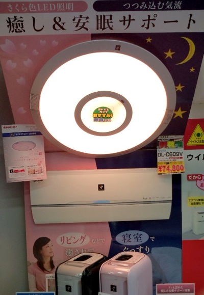 ファイル 500-1.jpg
