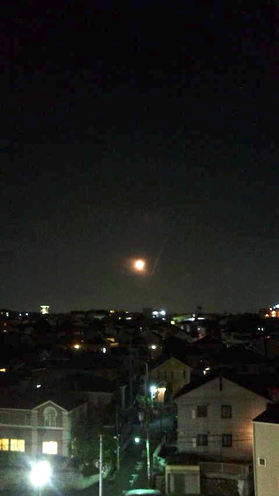 ファイル 543-5.jpg