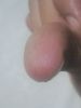 JPG 240x320 19.8kb