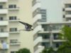 JPG 640x480 34.3kb