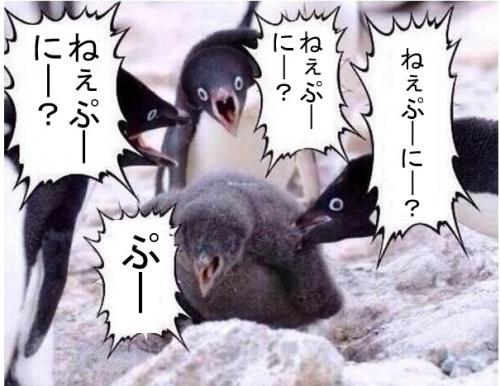 605x467 101.4kb