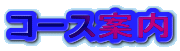 �R�[�X�ē�